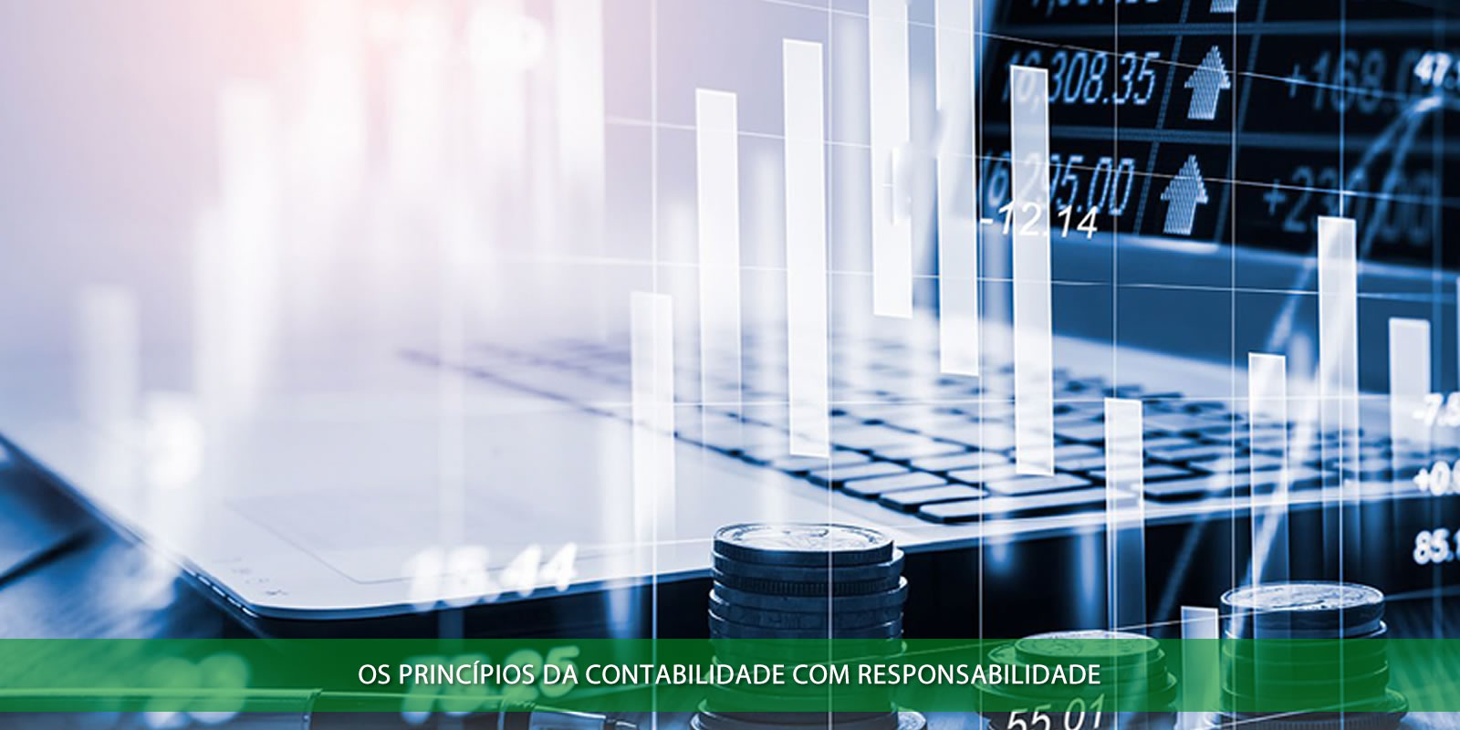 Figura 3 - CONTABILIDADE COM RESPONSABILIDADE. FUNDAMENTO DE UMA GESTÃO SAUDÁVEL